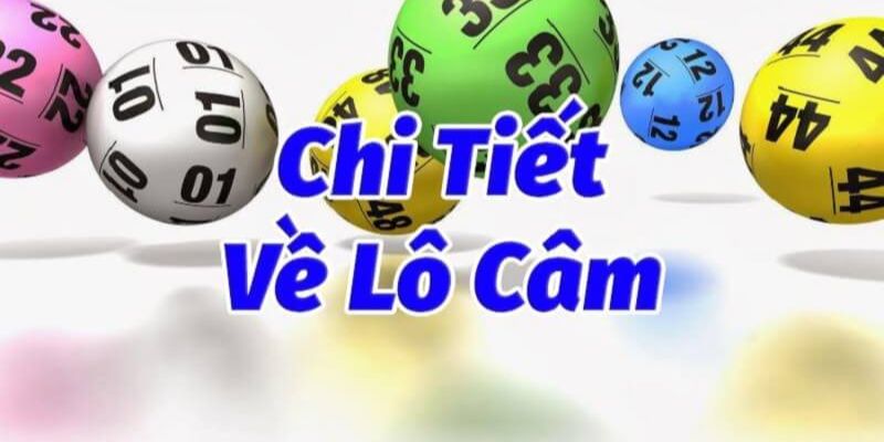 Khái niệm tổng quan về lô câm Trà Vinh mới nhất hiện nay 